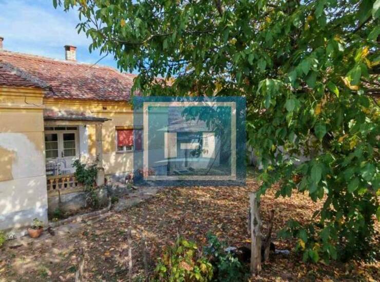 Kuća Paraćin, Donja Mutnica – fotografija 5