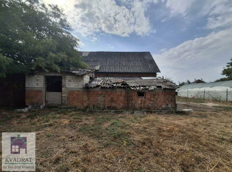 Plac Beograd, Zvečka – fotografija 8