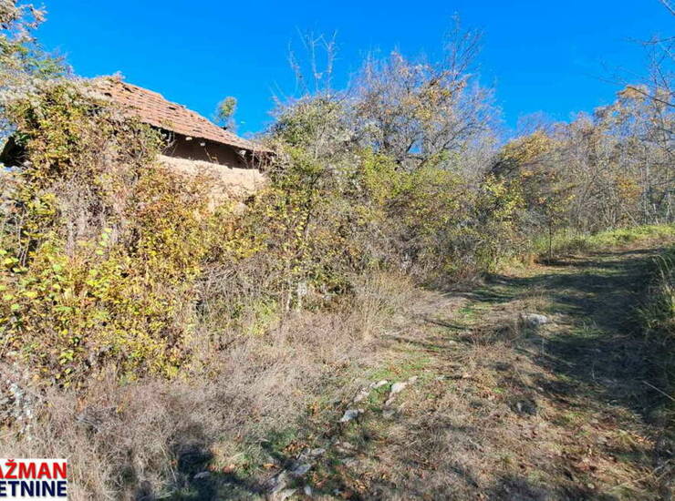 Plac Boljevac, Rujište – fotografija 3