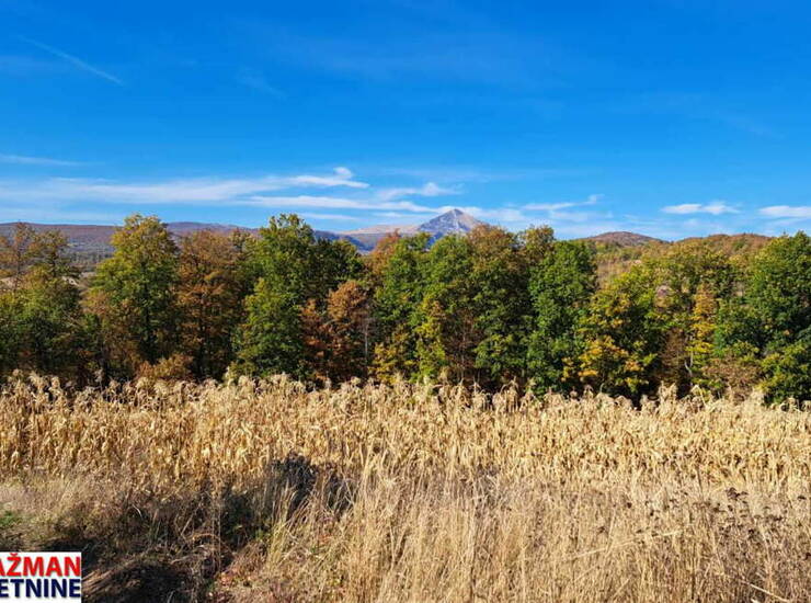 Plac Boljevac, Rujište – fotografija 1