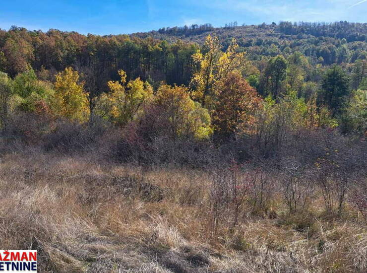 Plac Boljevac, Rujište – fotografija 3