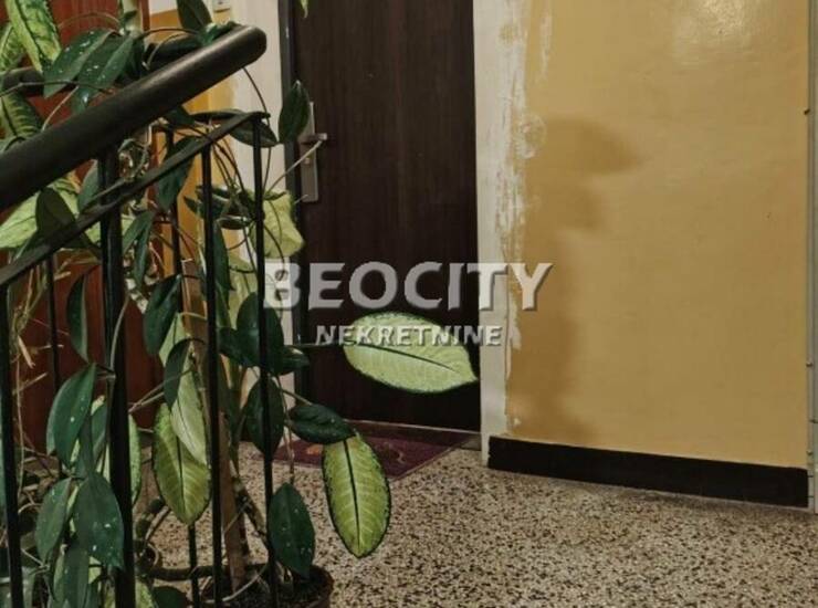 Stan Novi Sad, Detelinara – fotografija 7