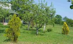 Plac, Kragujevac, DEsimirovac, prodaja, 0m2, 30000e, id749810