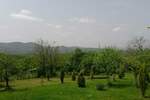 Plac, Kragujevac, DEsimirovac, prodaja, 0m2, 30000e, id749810