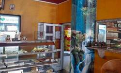 Kuca, Kragujevac, Bagremar, prodaja, 300m2, 155000e, id797086