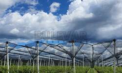Kuca, Kragujevac, Lužnice, prodaja, 45918m2, 240000e, id849125