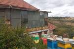 Kuca, Kragujevac, Pajzitovo, prodaja, 50m2, 16000e, id811282