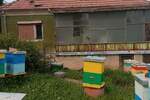 Kuca, Kragujevac, Pajzitovo, prodaja, 50m2, 16000e, id811282