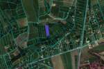 Plac, Sremski Karlovci, Dobrilovac, prodaja, 2480m2, 93000e, id982784