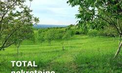 Plac, Novi Sad, Novi Ledinci, prodaja, 9928m2, 220420e, id741291