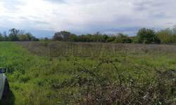 Plac, Niš, Pasi poljana, prodaja, 2916m2, 65000e, id791710