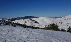 Plac, Zlatibor, Poljice, prodaja, 150m2, 200000e, id864705