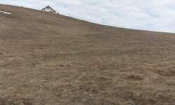 Plac, Zlatibor, Rudine, prodaja, 1500m2, 104997e, id836853