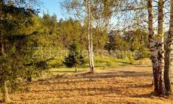 Plac, Zlatibor, Zova, prodaja, 6000m2, 420000e, id793068