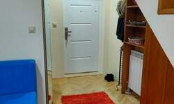 Dvosoban stan, Novi Sad, Adamovićevo Naselje, izdavanje, 40m2, 450e, id924111