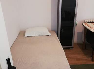 Stan, Novi Sad, Bulevar Kralja Petra Prvog, izdavanje, 25m2, 250e, id963206