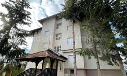 Trosoban stan, Zlatibor, Golija, prodaja, 60m2, 91000e, id835104