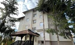 Trosoban stan, Zlatibor, Golija, prodaja, 60m2, 77000e, id835104