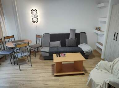 Jednoiposoban stan, Beograd, Novi Beograd, izdavanje, 40m2, 550e, id961792