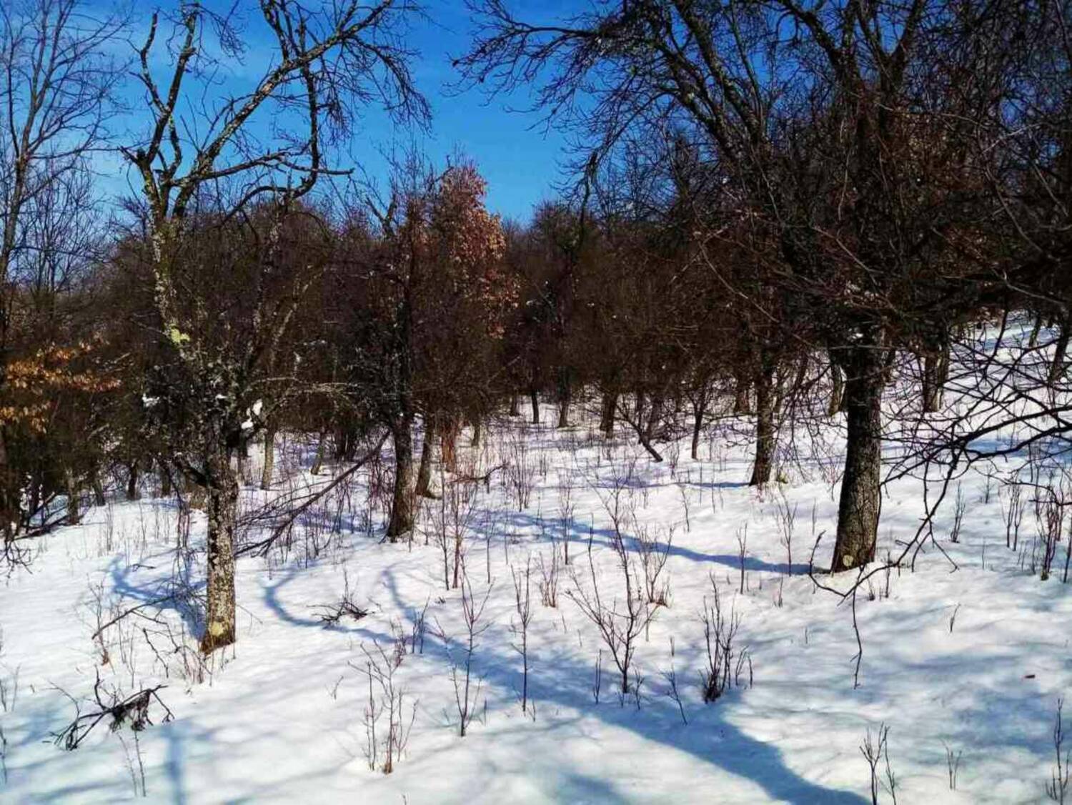 Vikendica, Čačak, prodaja, 45m2, 19500e, id794269 Oglasi SveNekretnine